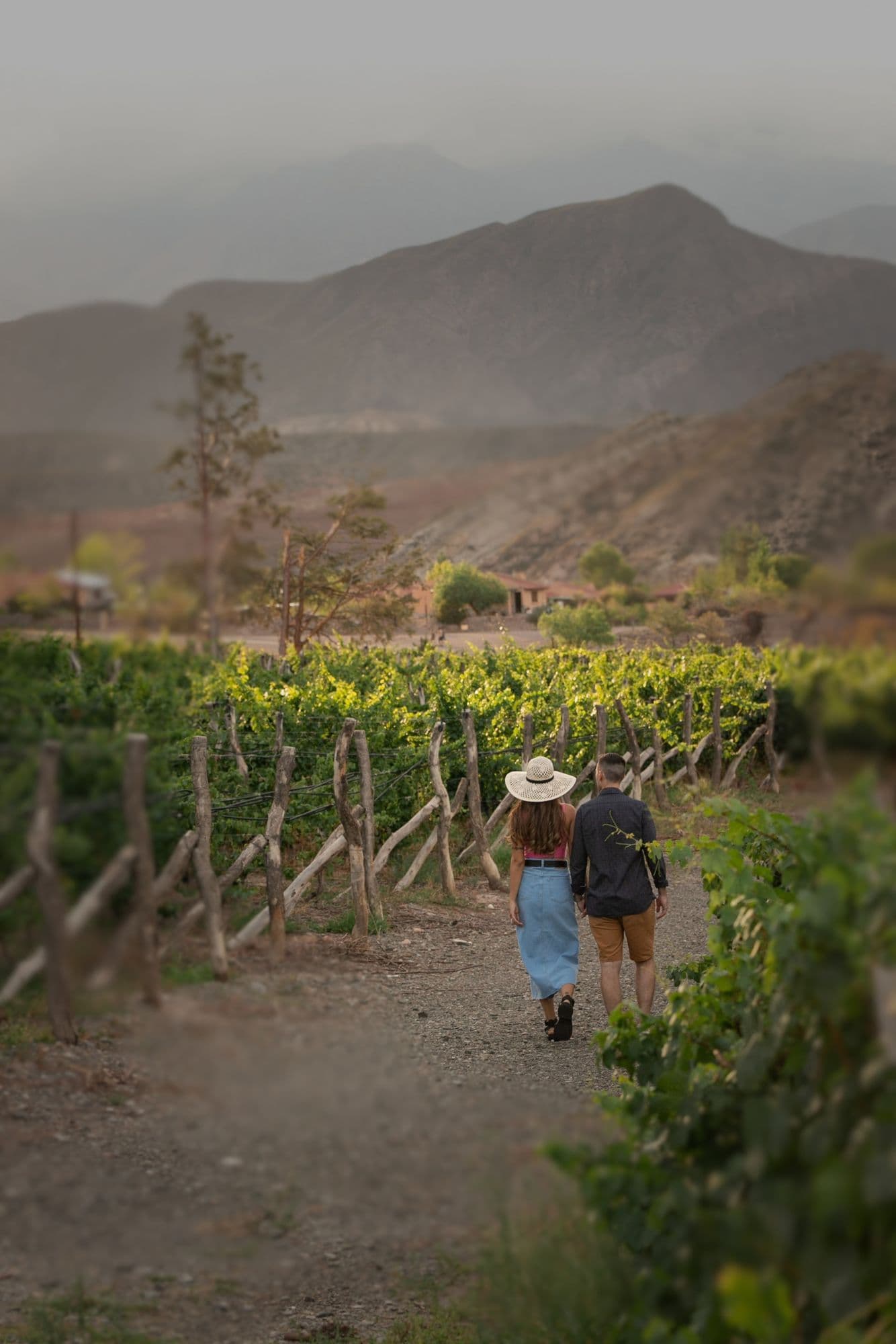 Nuestra Esencia: El Arte de Vivir la Baja